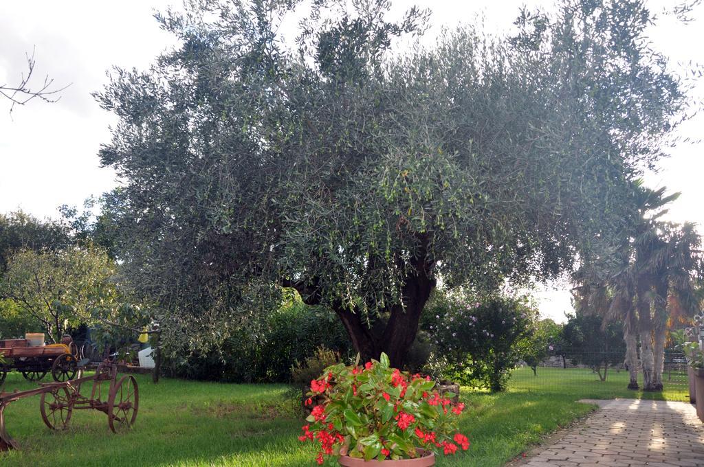 Franko Apartmani Zambratija  Luaran gambar