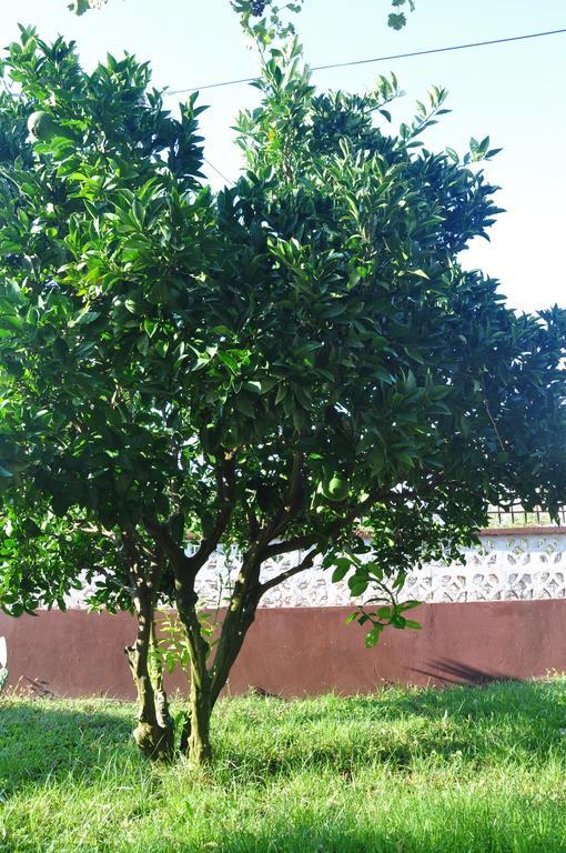 Franko Apartmani Zambratija  Luaran gambar