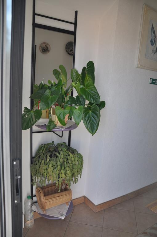 Franko Apartmani Zambratija  Luaran gambar