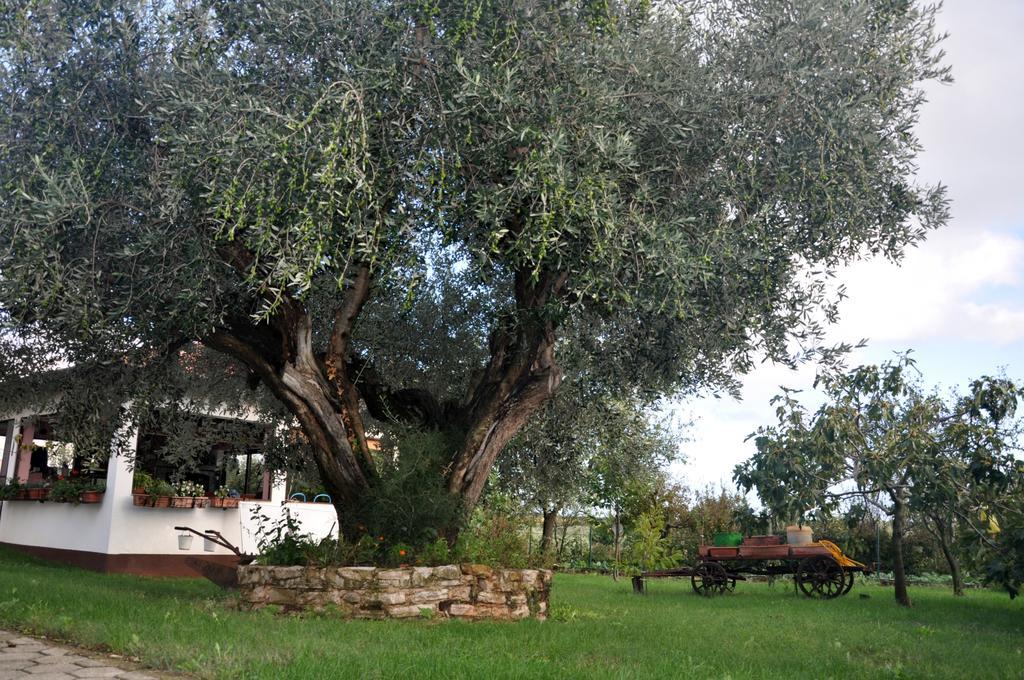 Franko Apartmani Zambratija  Luaran gambar
