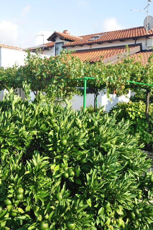 Franko Apartmani Zambratija  Luaran gambar